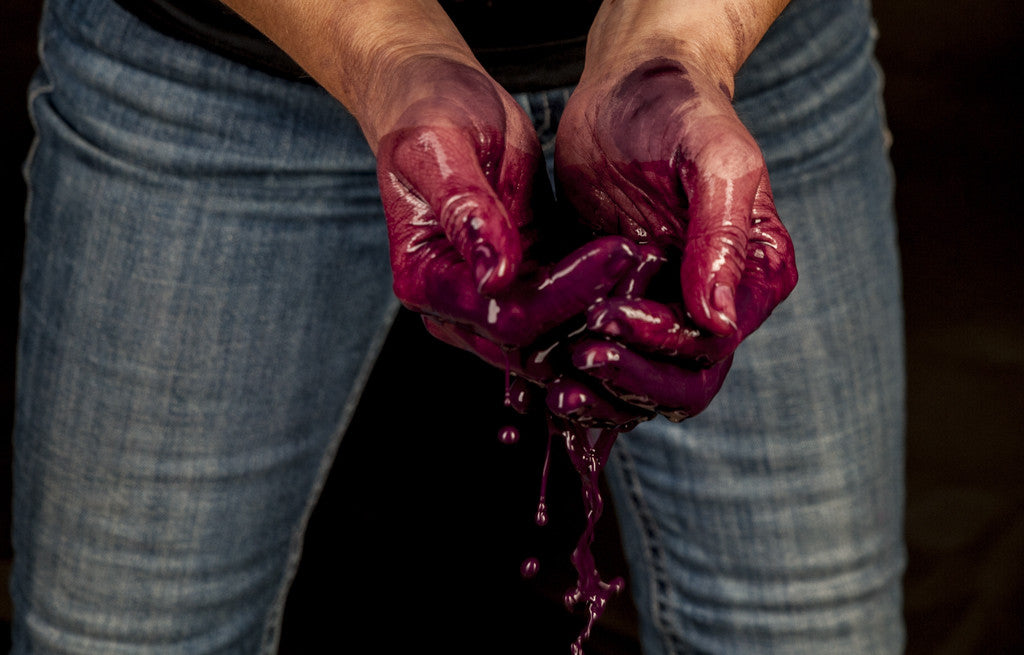 Hero image of Kasia Winery